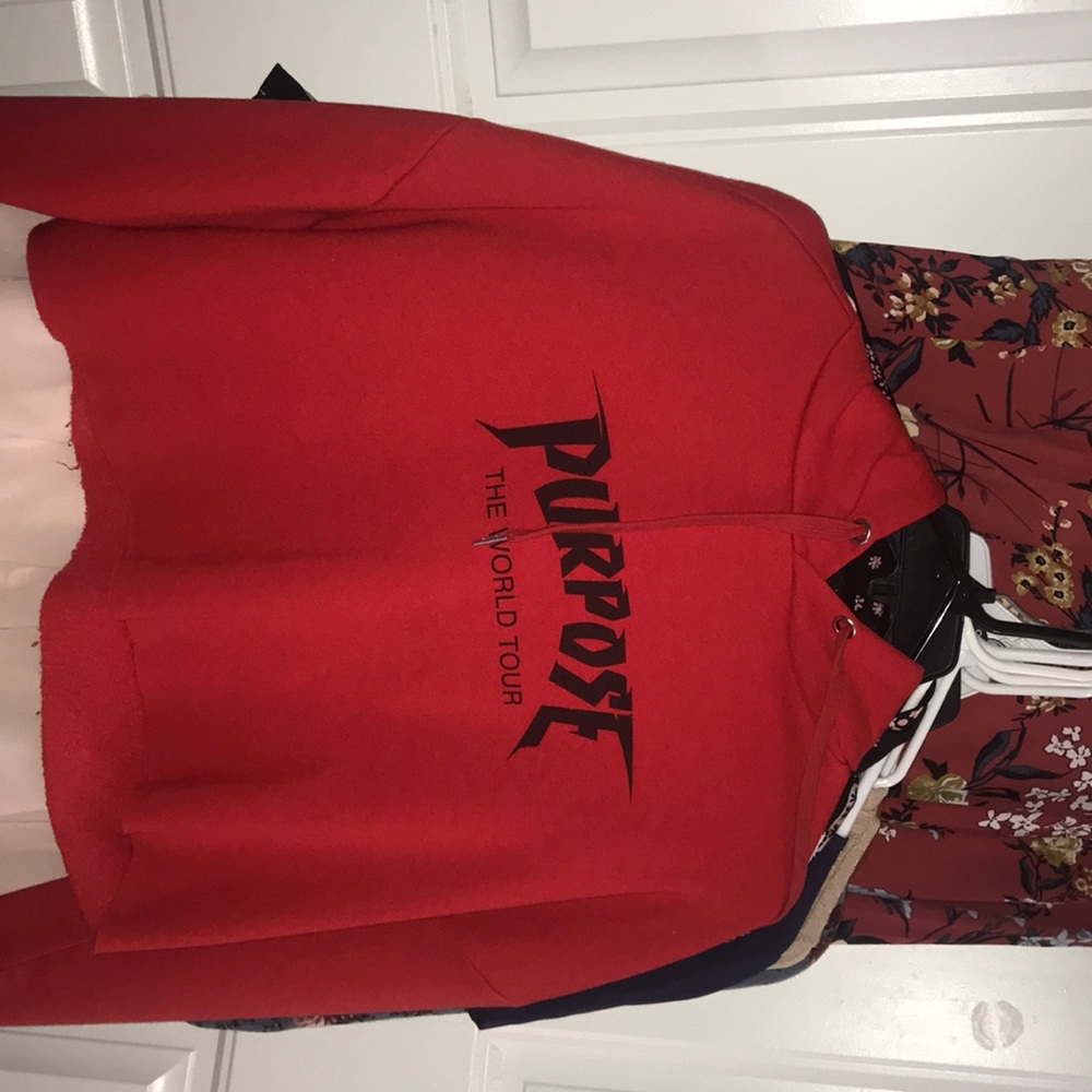 Purpose tour hoodie